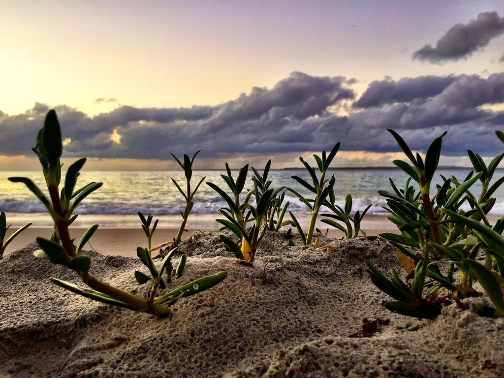 Stradbroke Island Beach Hotel Пойнт-Лукаут Экстерьер фото